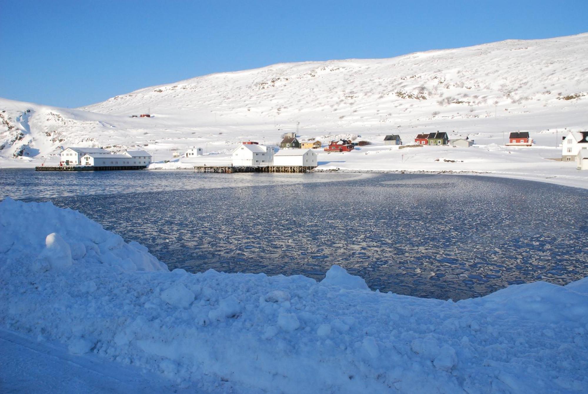 Kongsfjord Holiday Home Kültér fotó