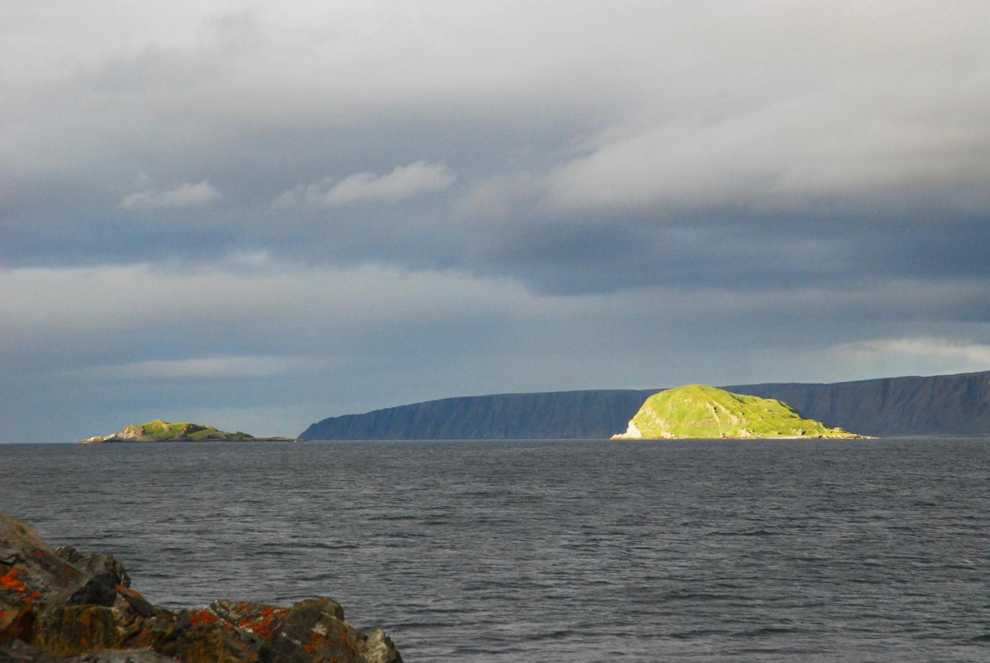 Kongsfjord Holiday Home Kültér fotó