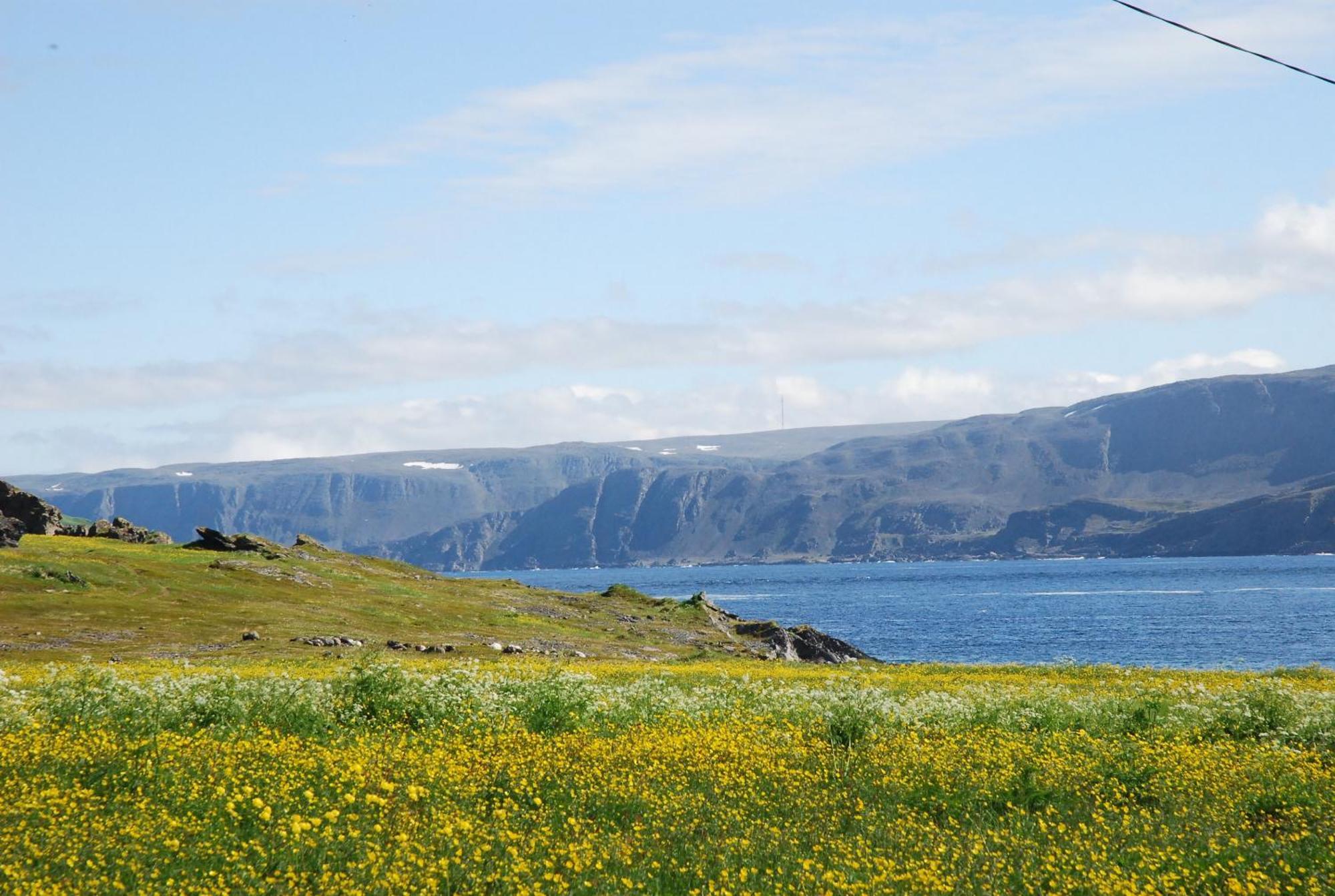 Kongsfjord Holiday Home Kültér fotó